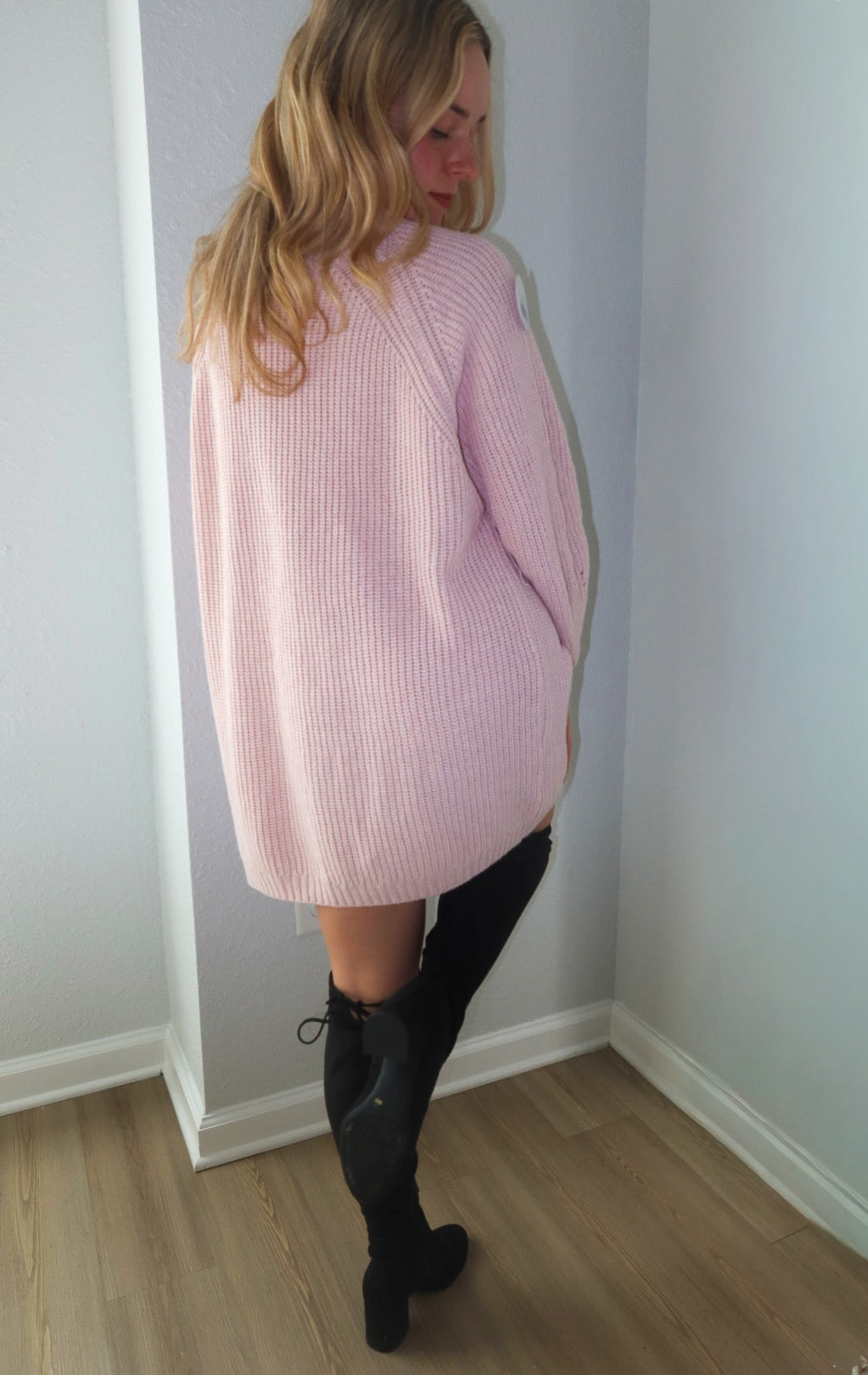Blush Long Sleeve Neck Dress